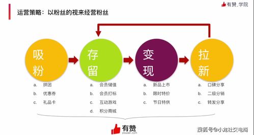 齐峰果业 从传统农业到品牌电商的战略跨越与运营策略解析
